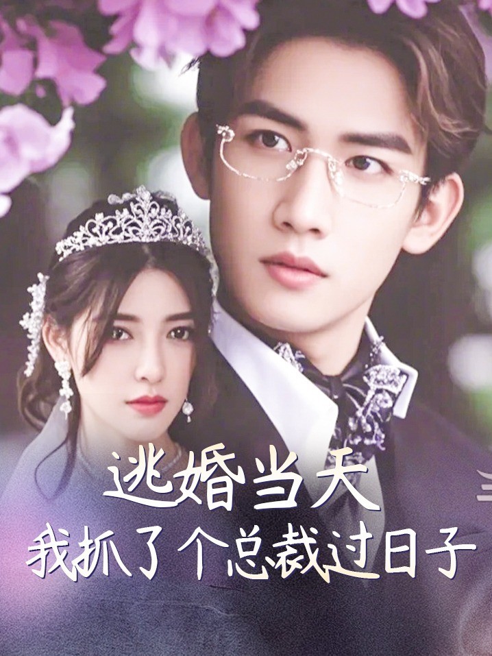 逃婚当天我抓了个总裁过日子