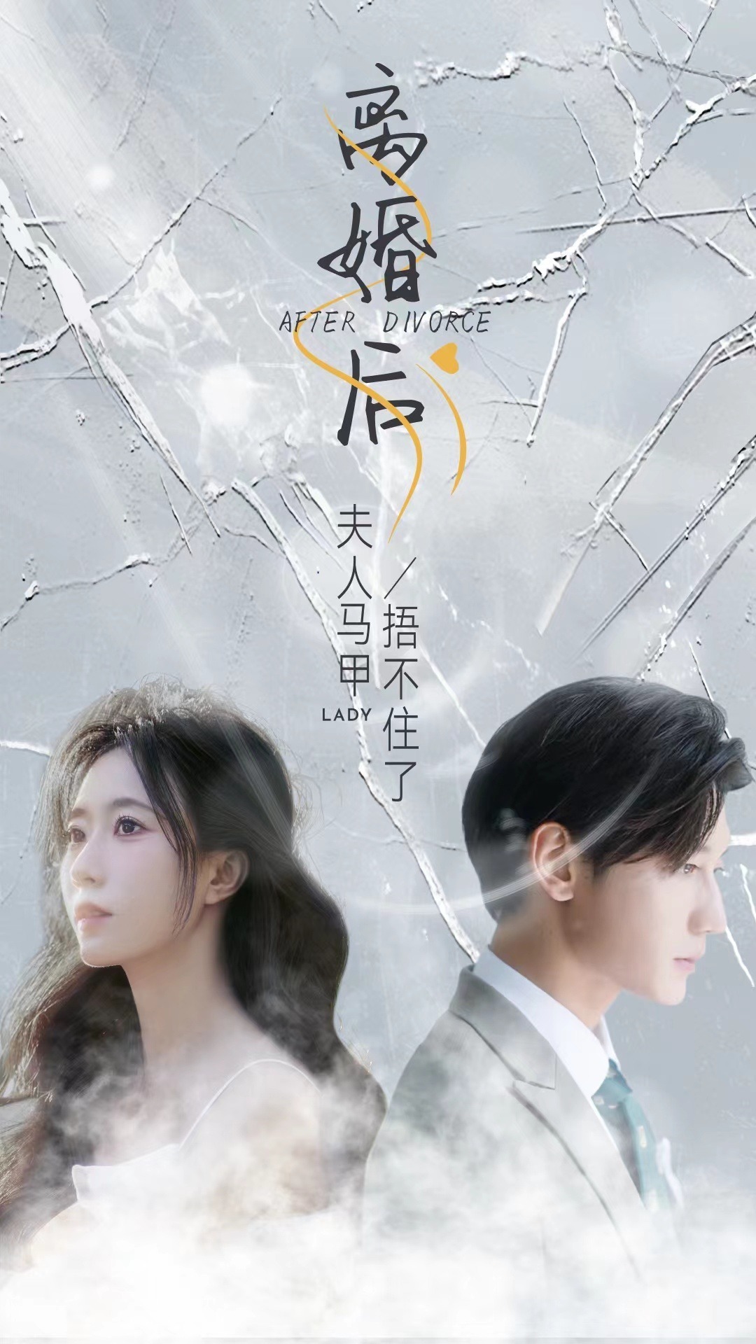 离婚后，夫人马甲捂不住了